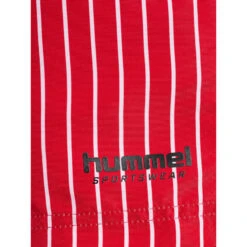 Hummel Hmllgc Grant Board Shorts Caleçon Homme -Default Template 5 hmllgc grant board shorts calecon homme 2